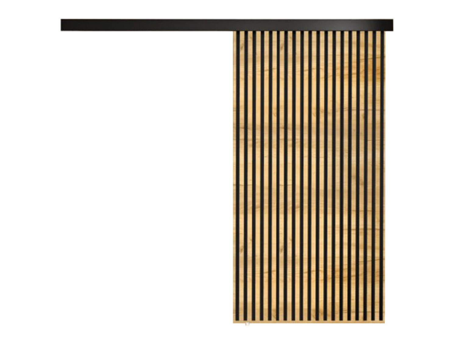 Раздвижные двери Dover 204 (Ремесло золотой дуб + Чёрный)