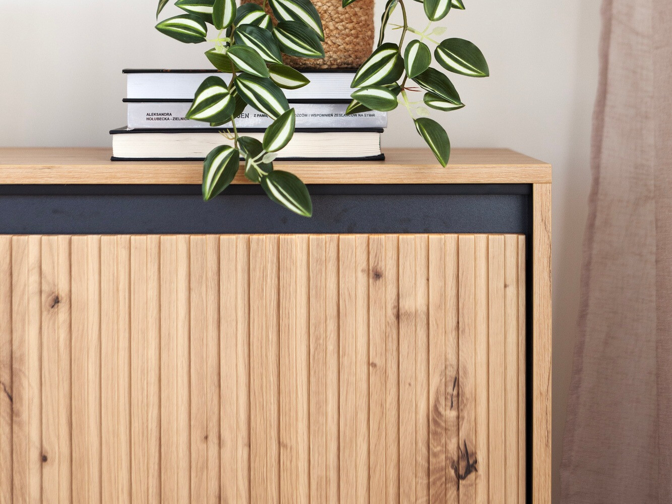 Skapis Fernolu 101 (Artisan ozols + Melns)