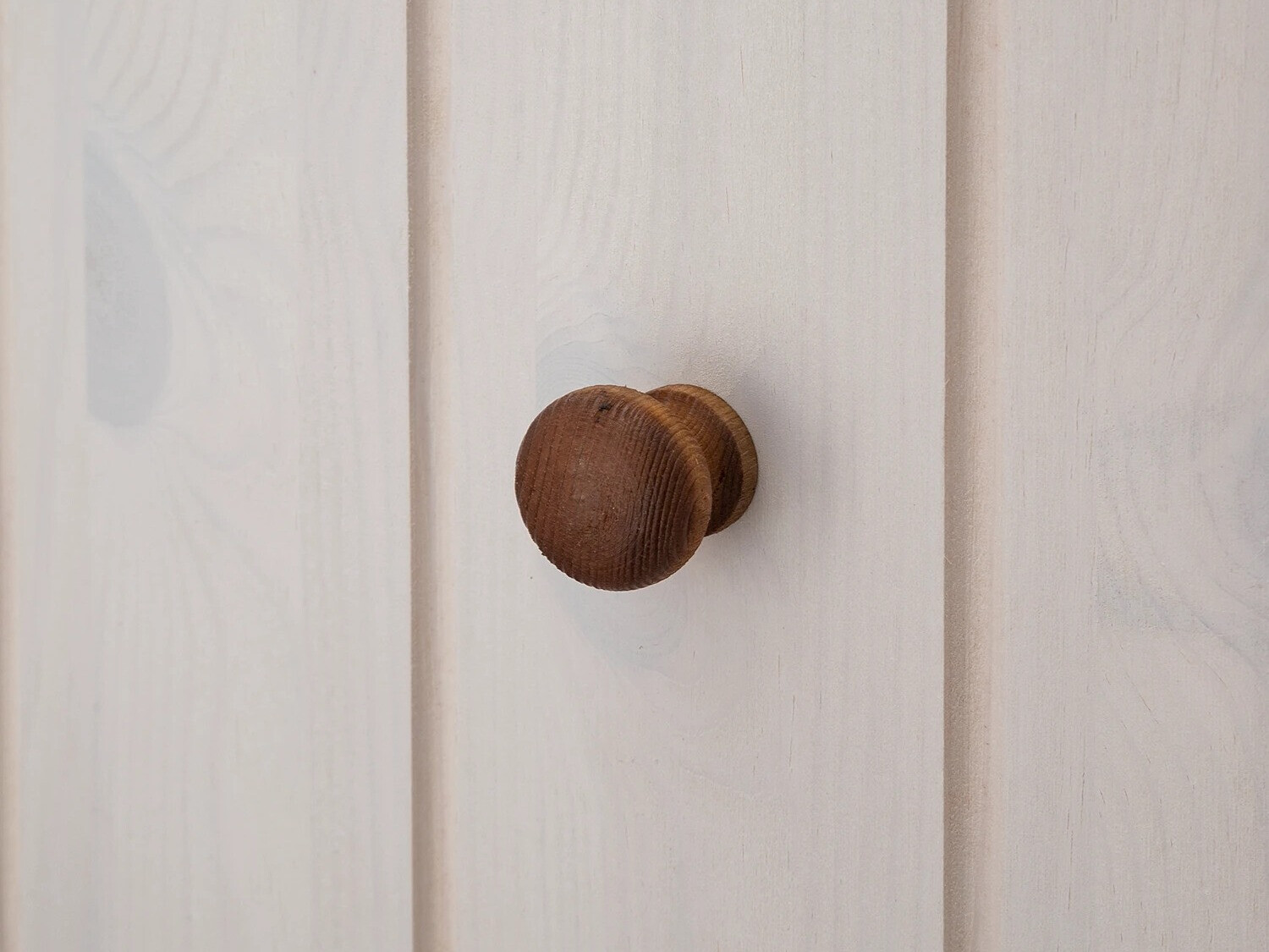 Uzkaramais Saltoro 134 (Balts + Medus ozols)