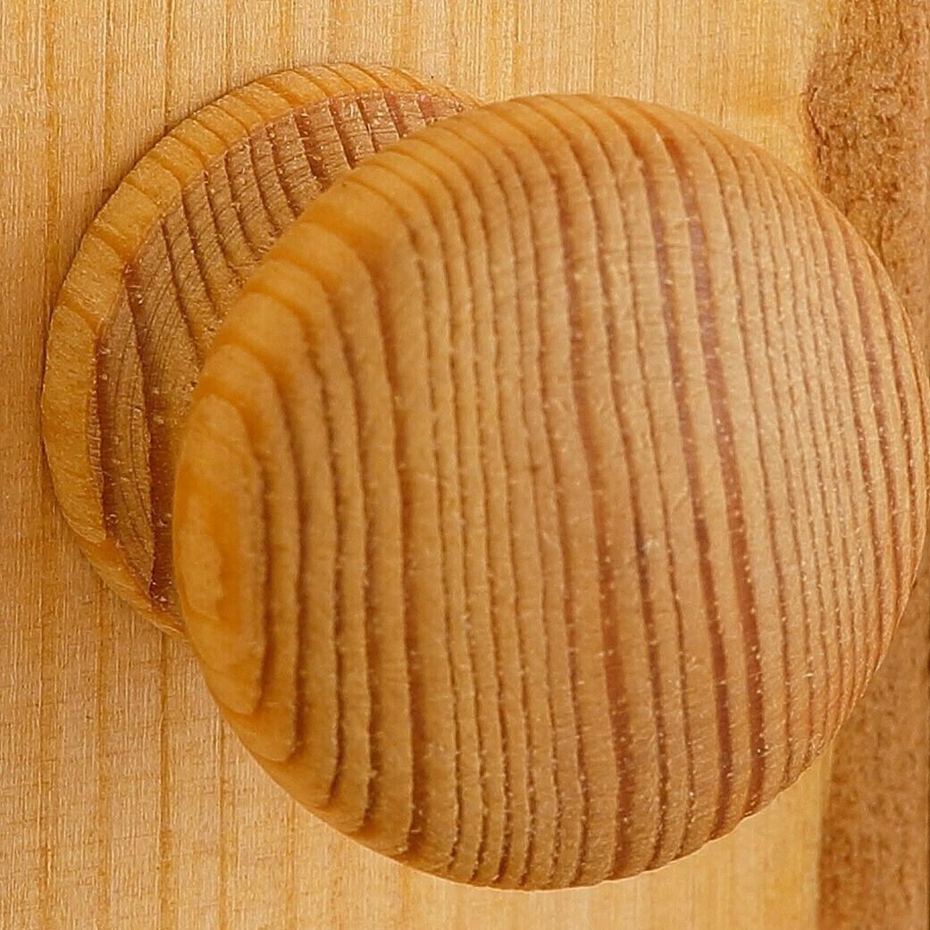 Durvis Orlmara 108 (Priede) (2 gab.)