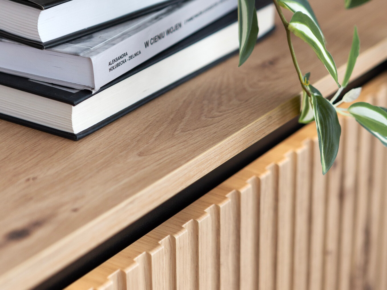 TV galds Fernolu 105 (Artisan ozols + Melns)