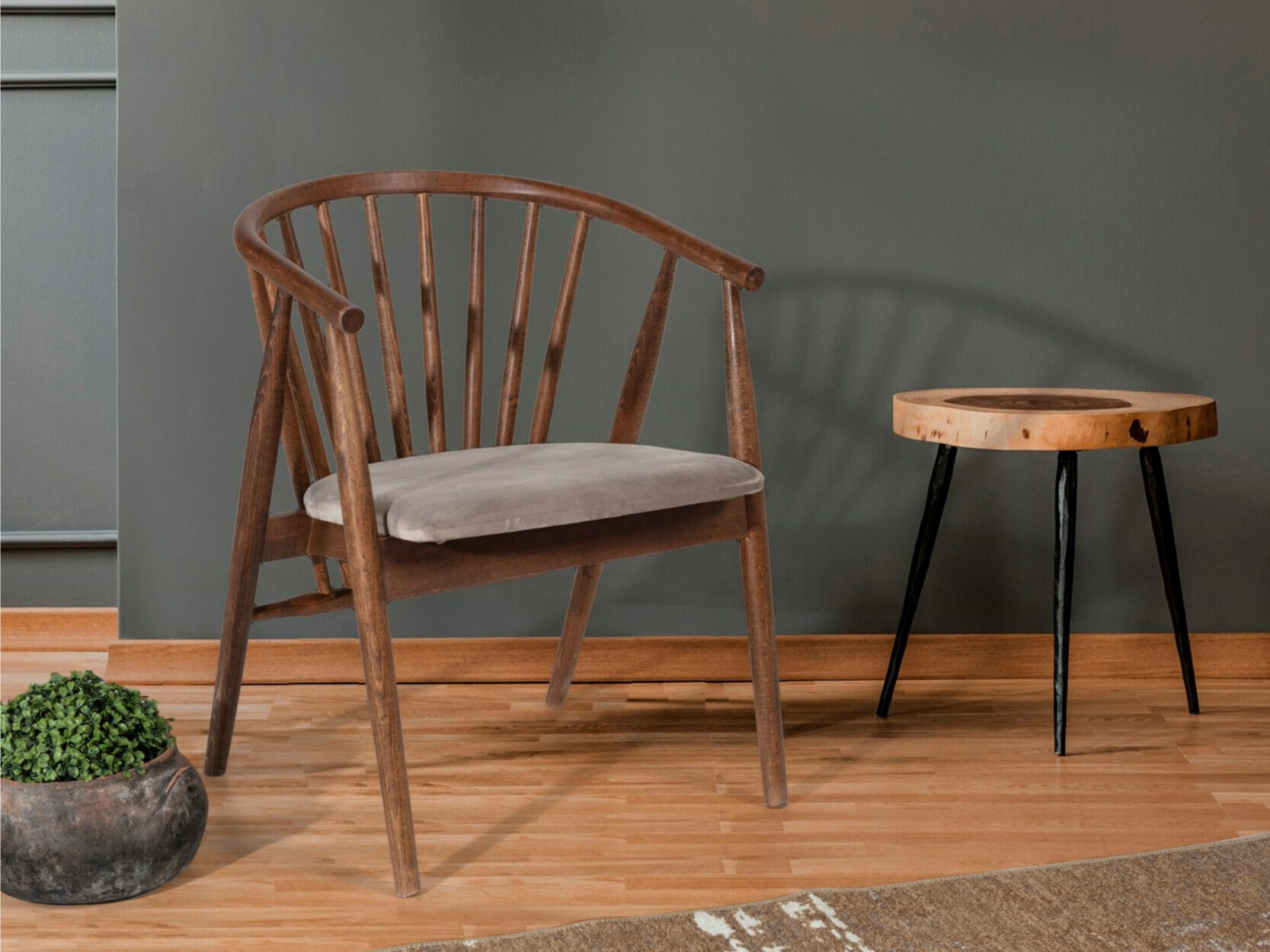 Krēsls Kailua 2258 (Bēšs + Riekstkoks)