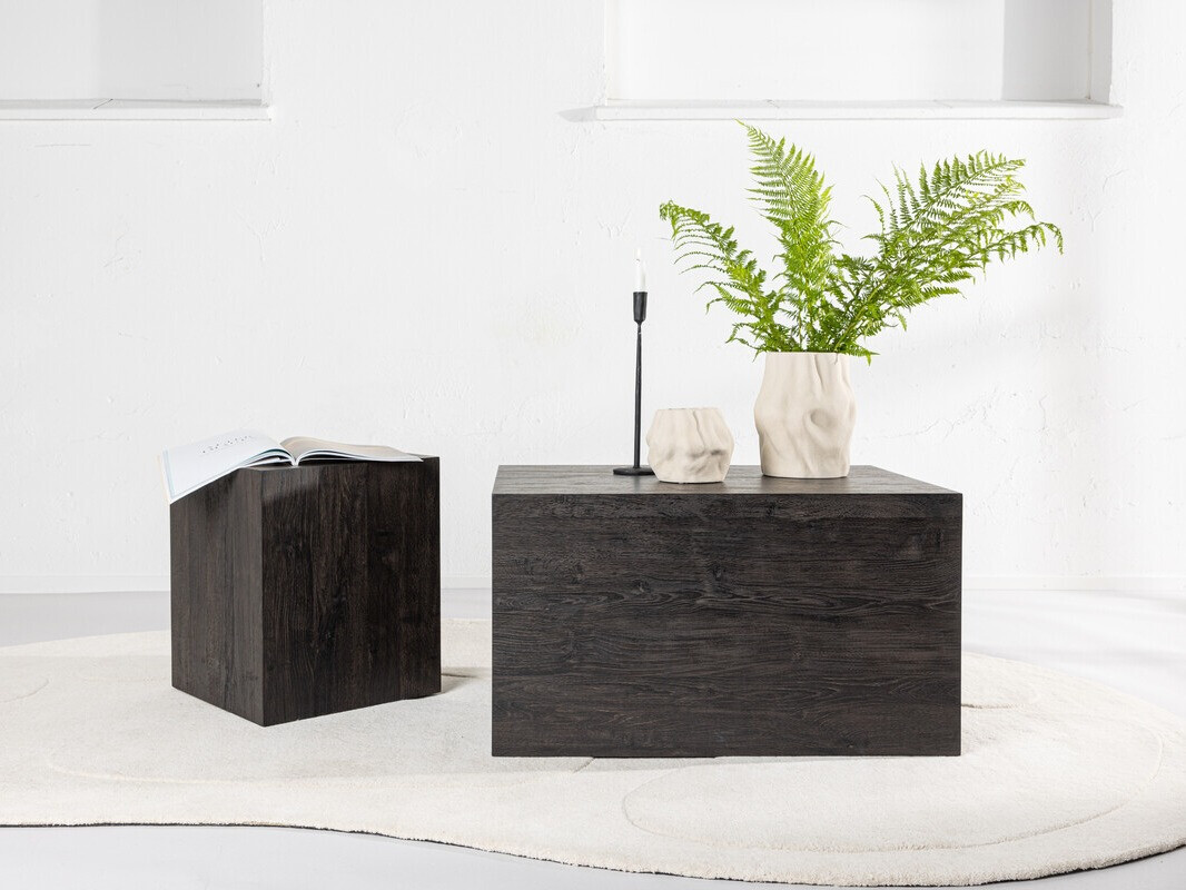 Žurnālu galdiņu komplekts Dallas 4539 (Brūns)