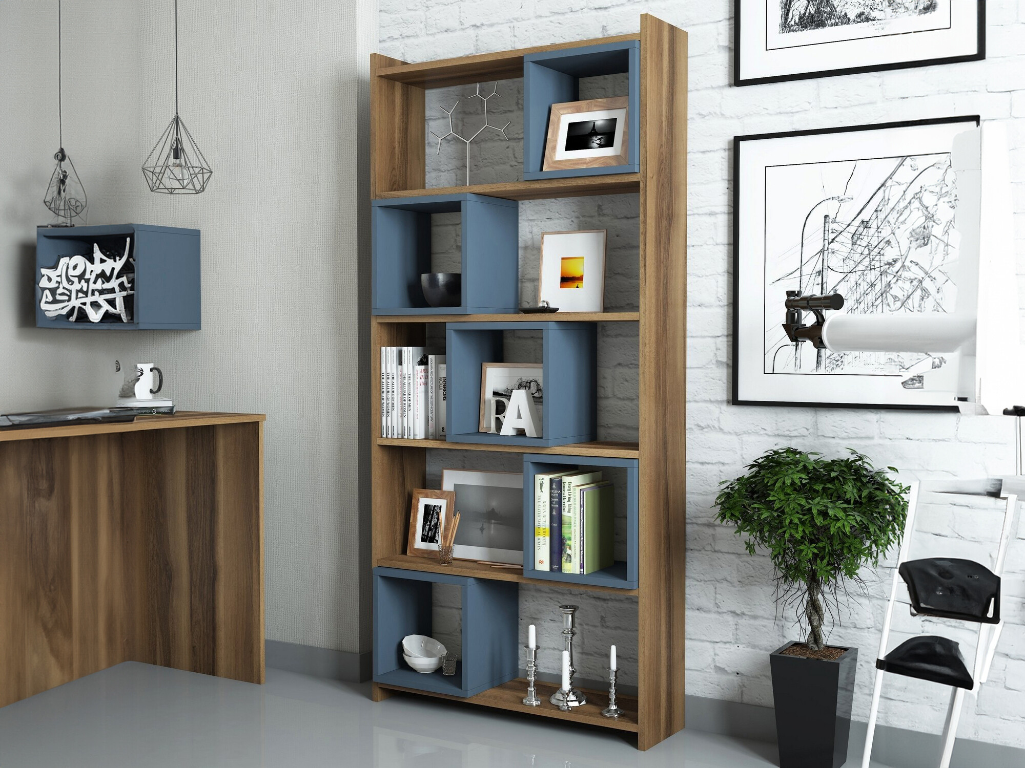 Plaukts Kailua 666 (Zils + Riekstkoks)