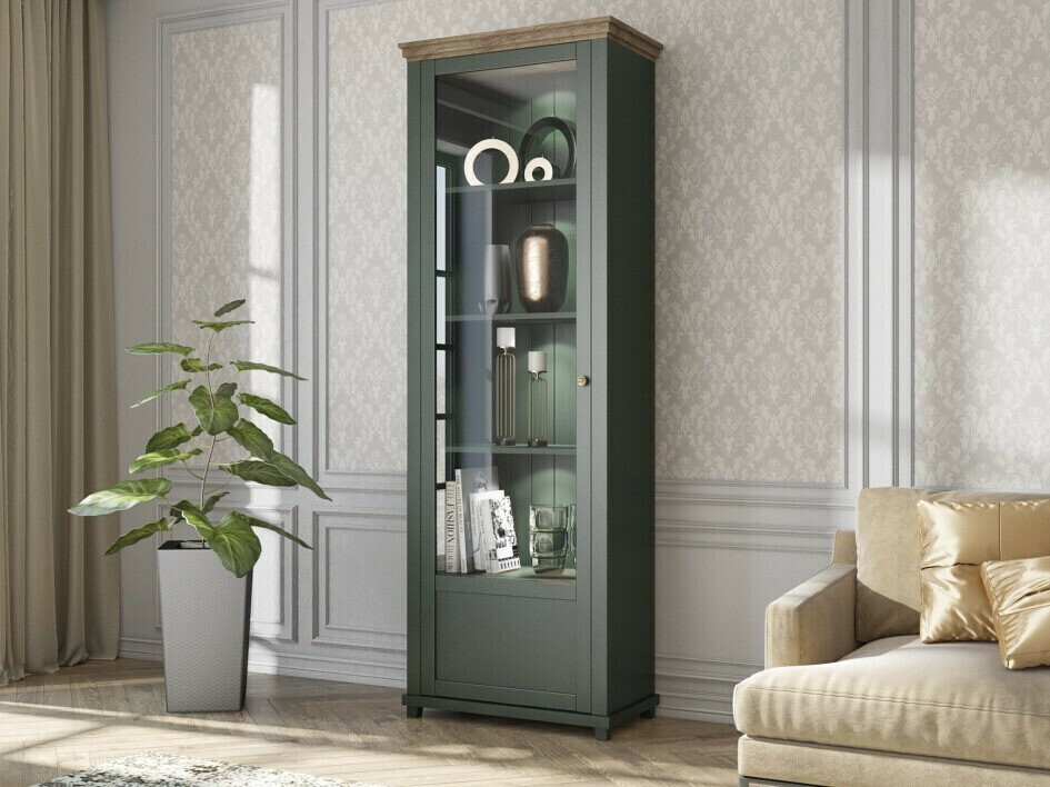 Plaukts Tolnue 101 (Tumši zaļš + Lefkas ozols)