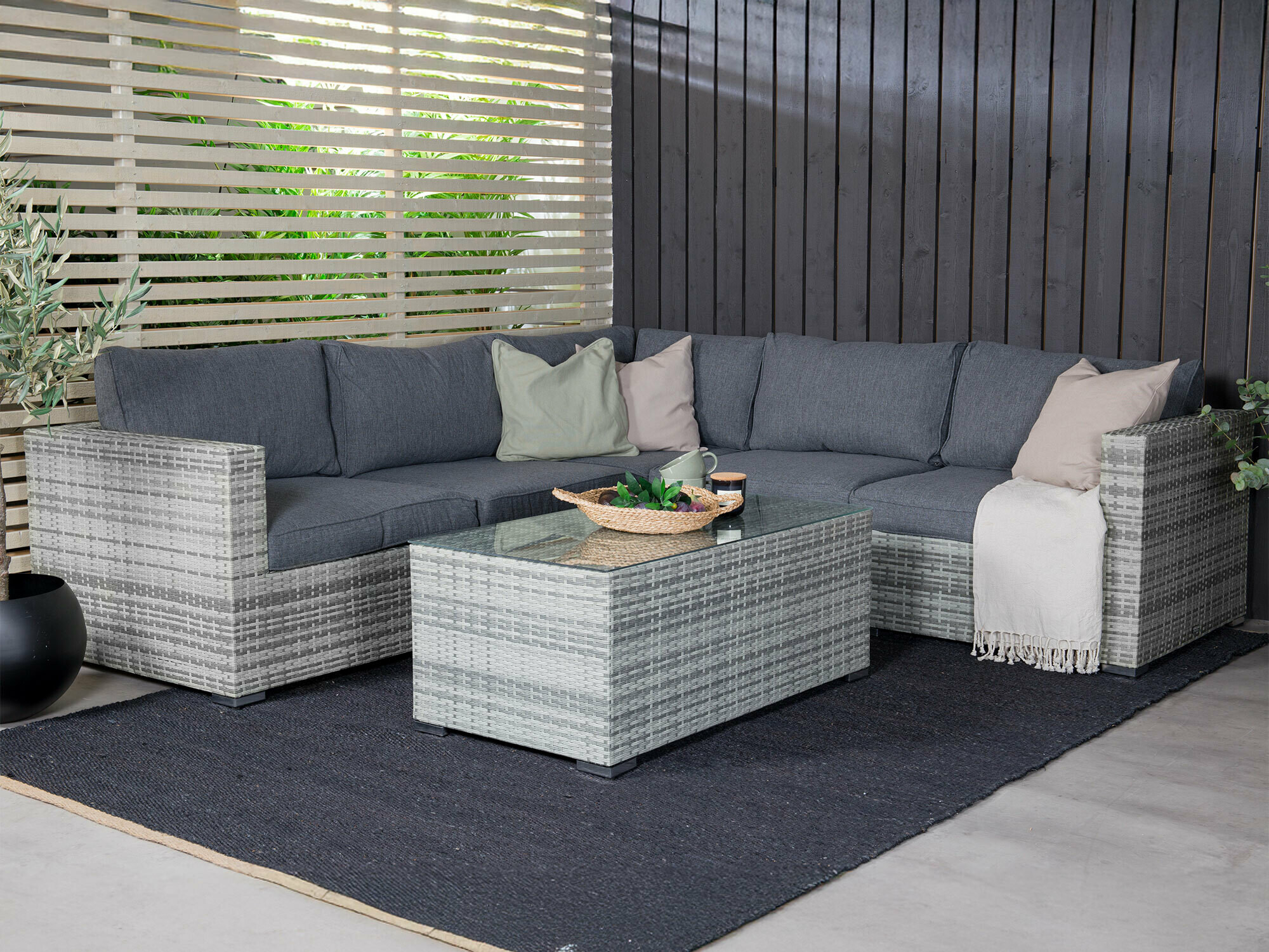 Dārza mēbeļu komplekts Dallas 658