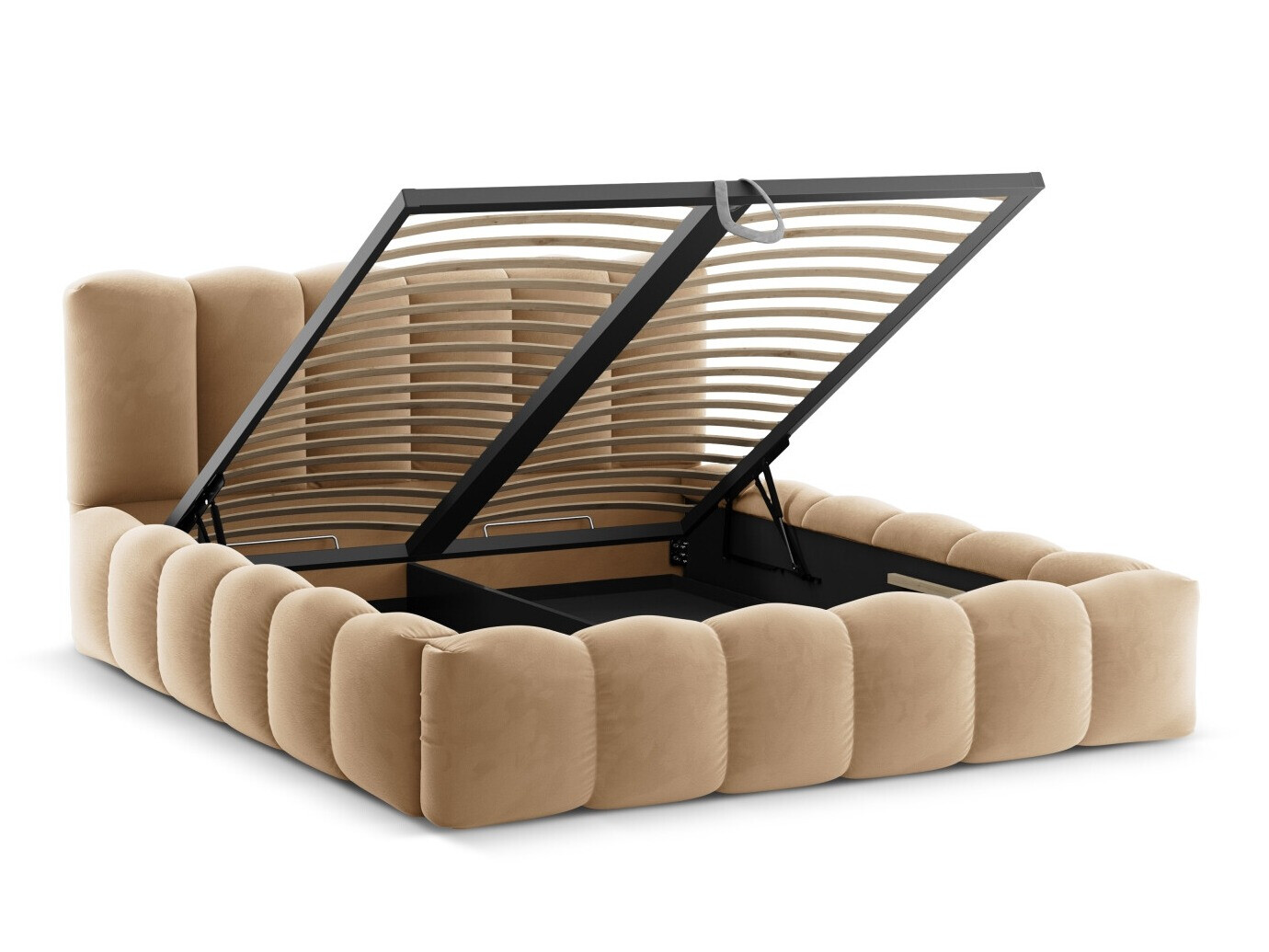 Gulta Cirleve 101 (Paris Lion)