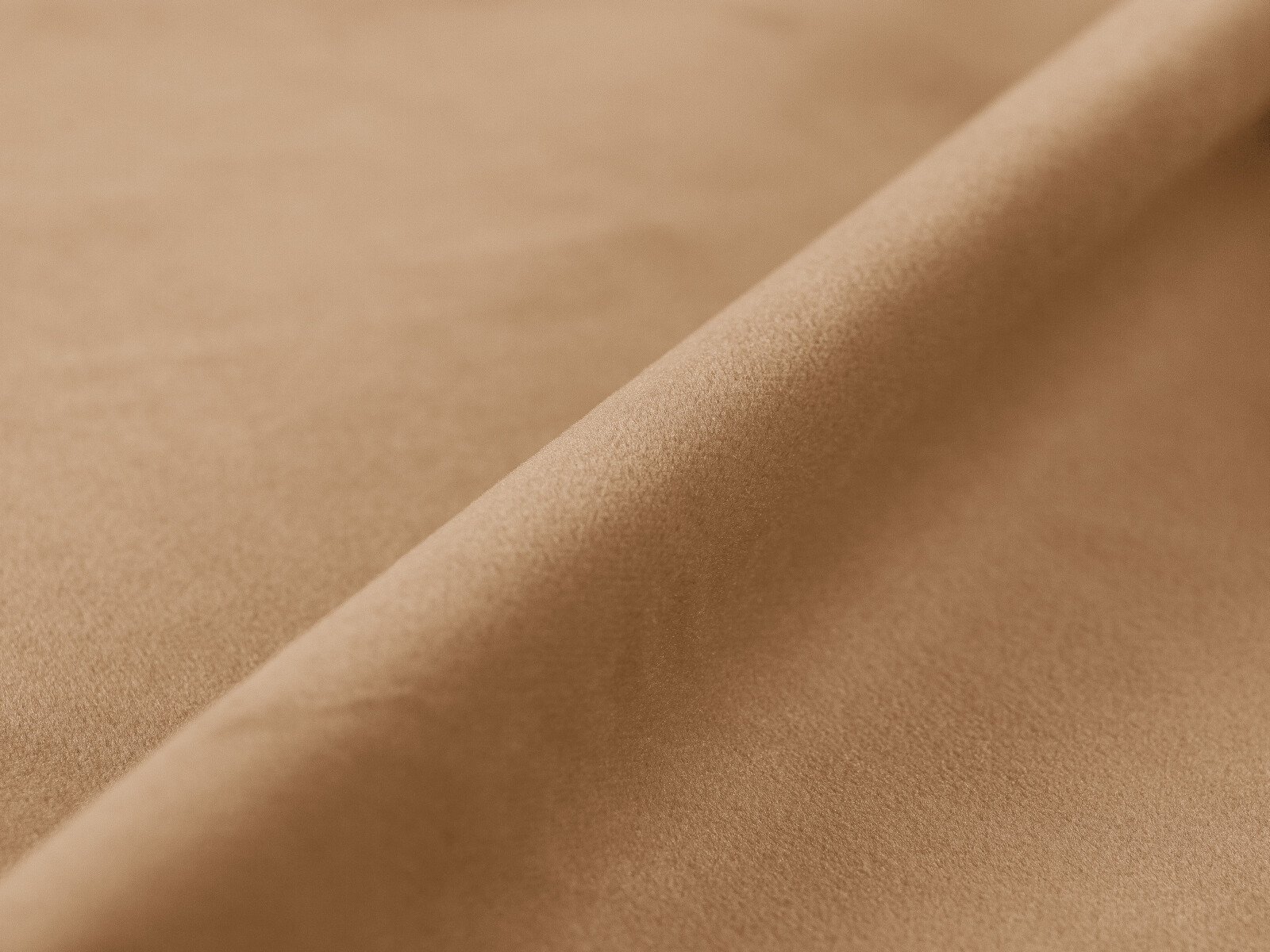 Gulta Cirleve 101 (Paris Lion)