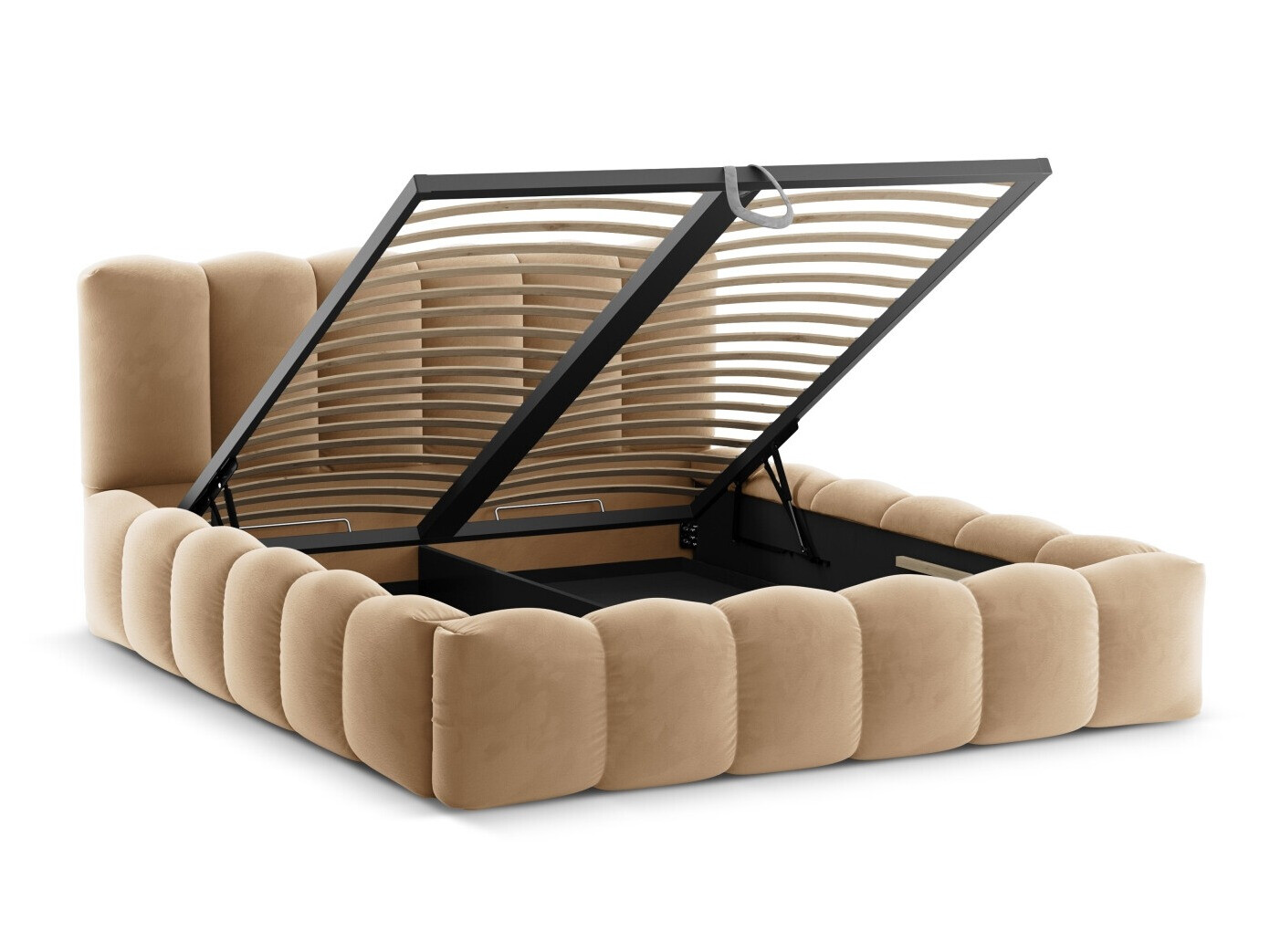 Gulta Cirleve 101 (Paris Lion)