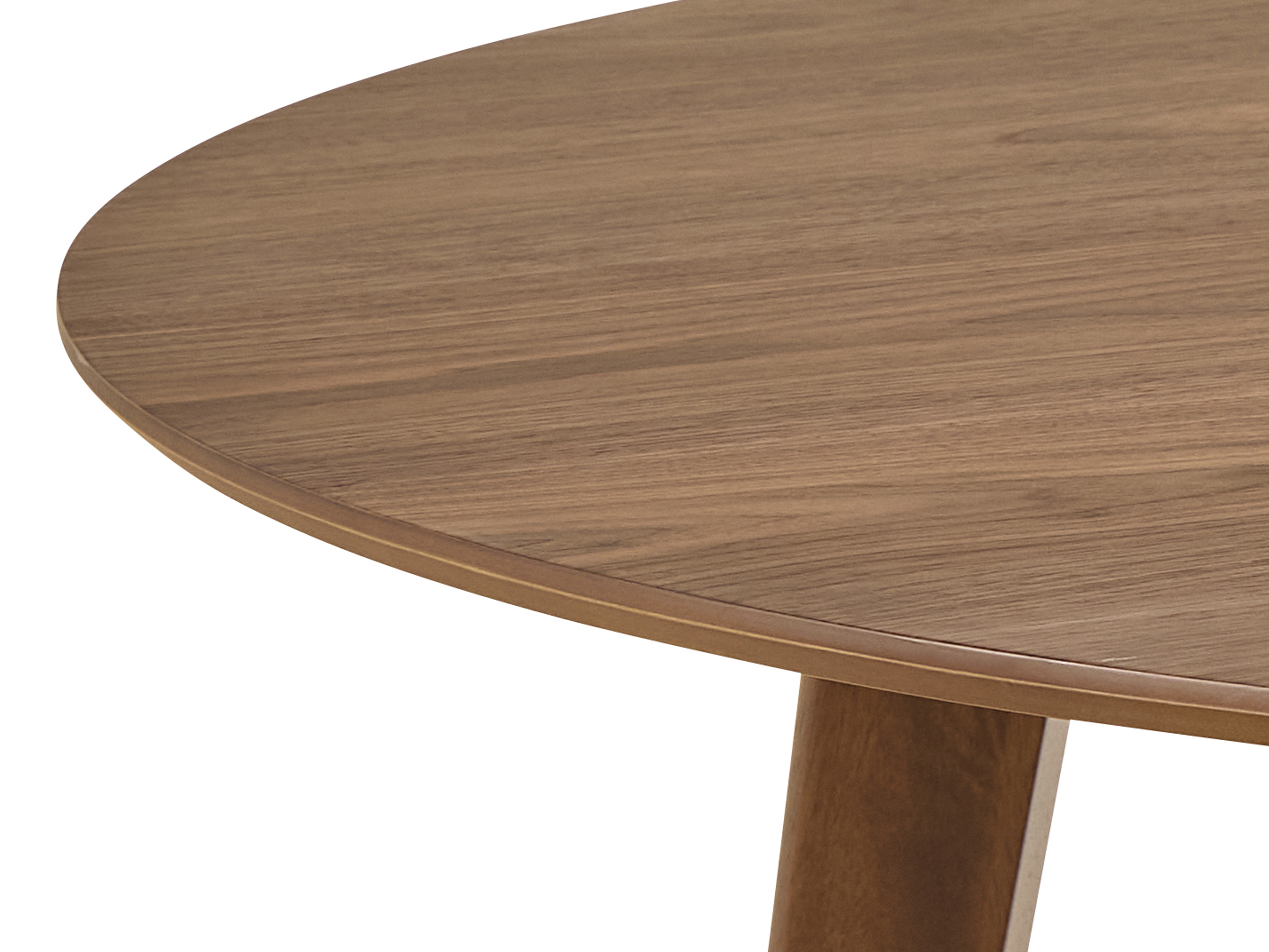 Galds Norsica 481 (Riekstkoks)