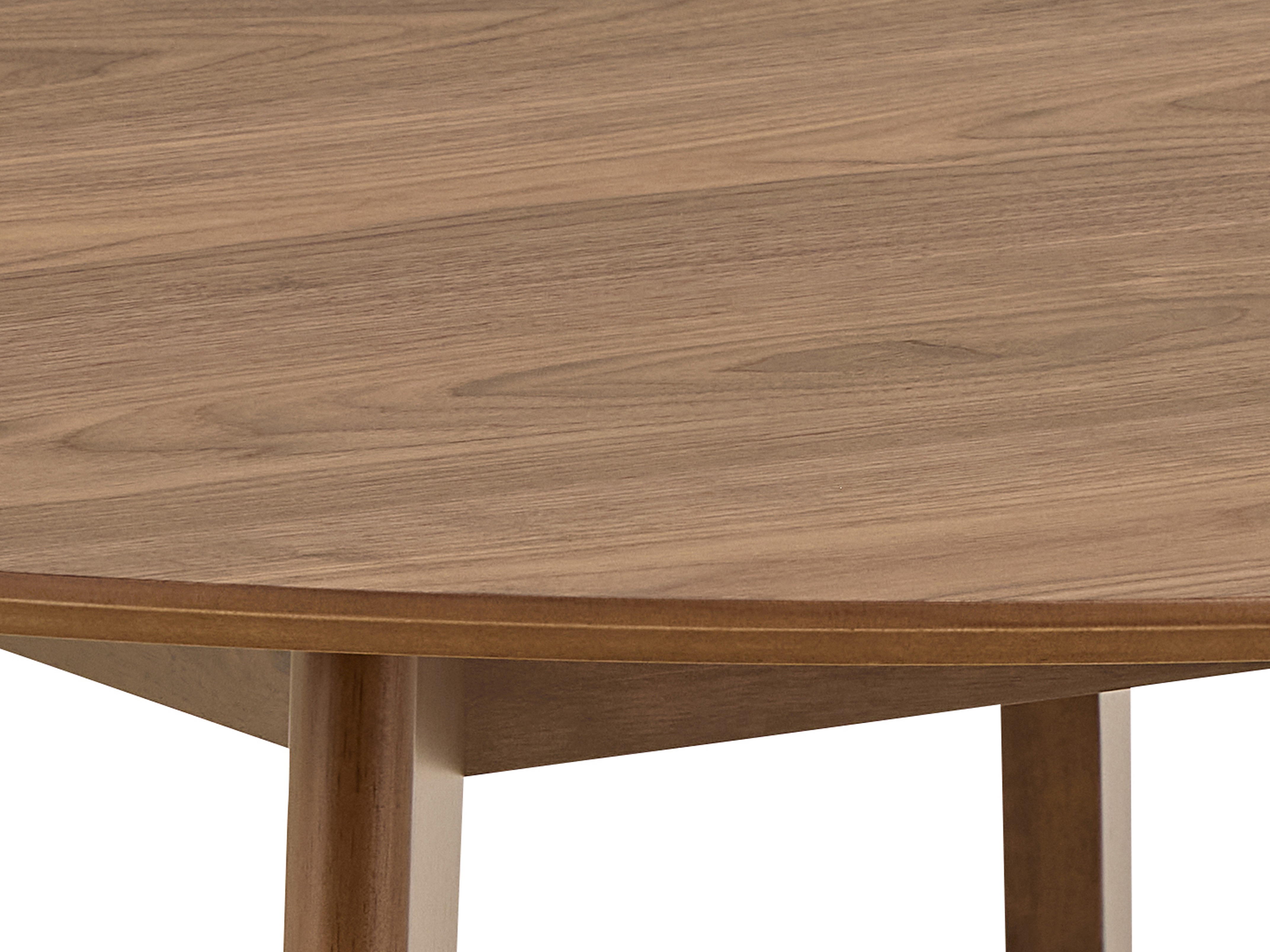 Galds Norsica 481 (Riekstkoks)