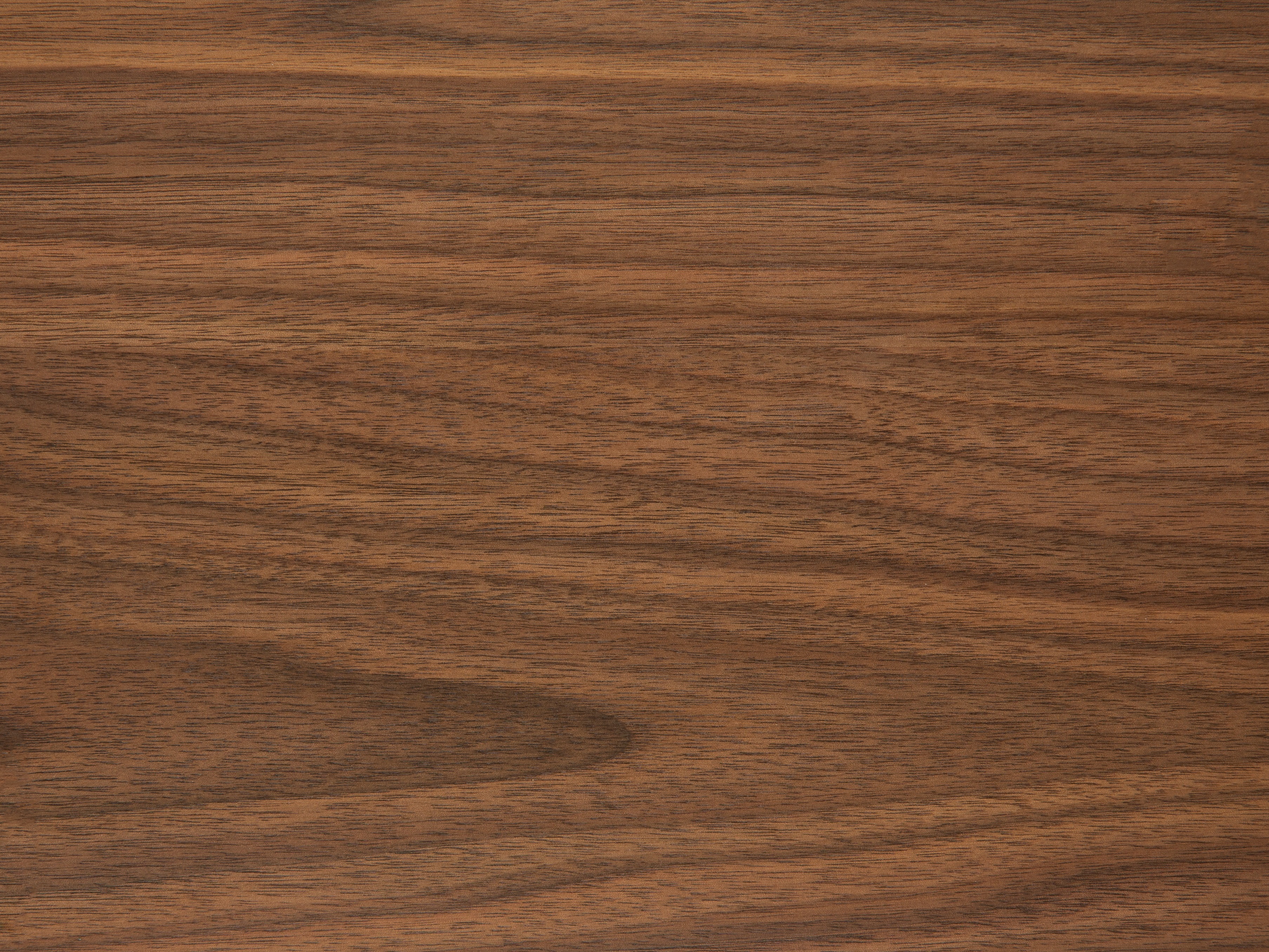 Galds Norsica 481 (Riekstkoks)