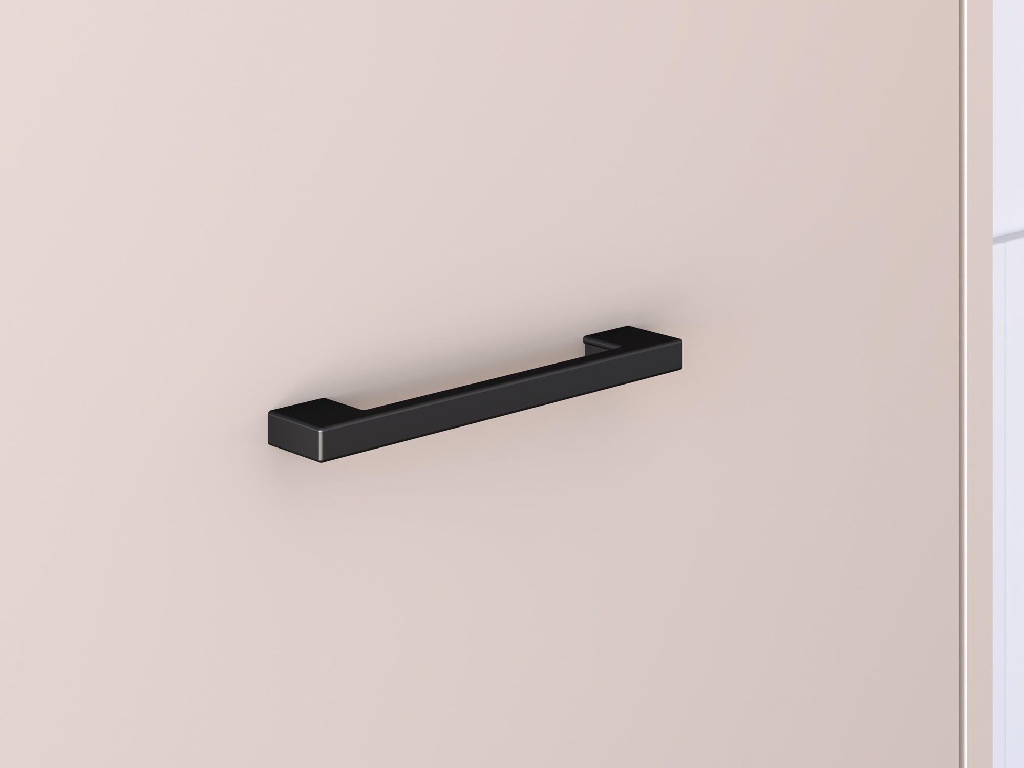 Шкаф Fiolevo 100