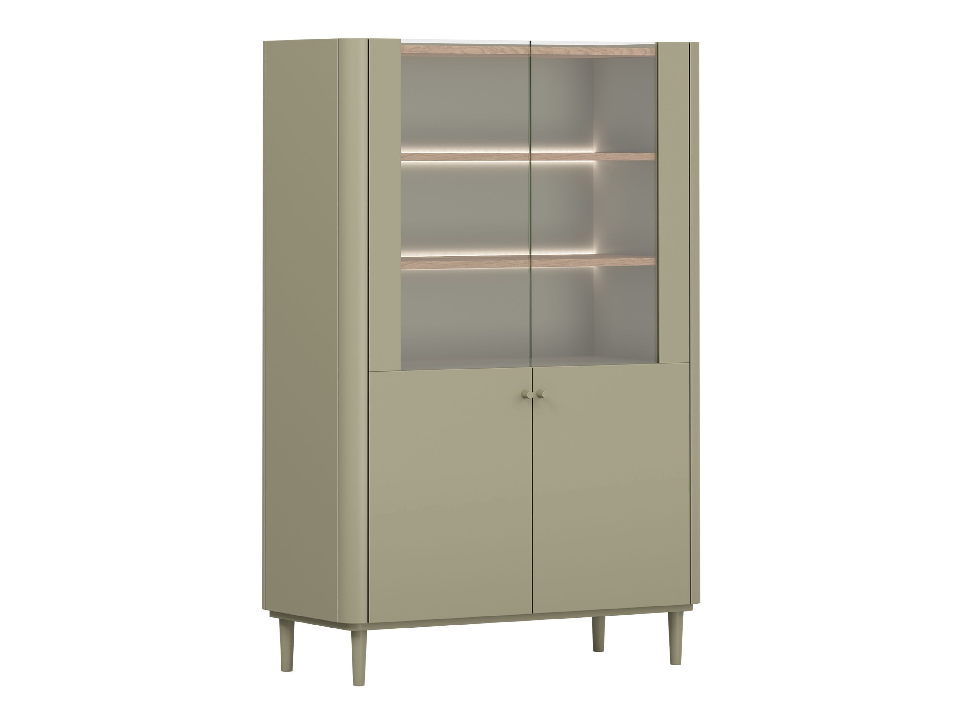 Plaukts Elbmira 101 (Putekļaini zaļa + Ozols)