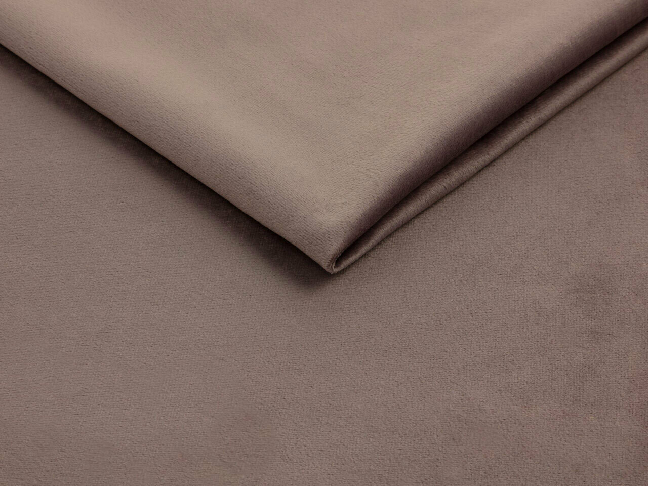 Gulta Baltimore 203 (Fresh 9)