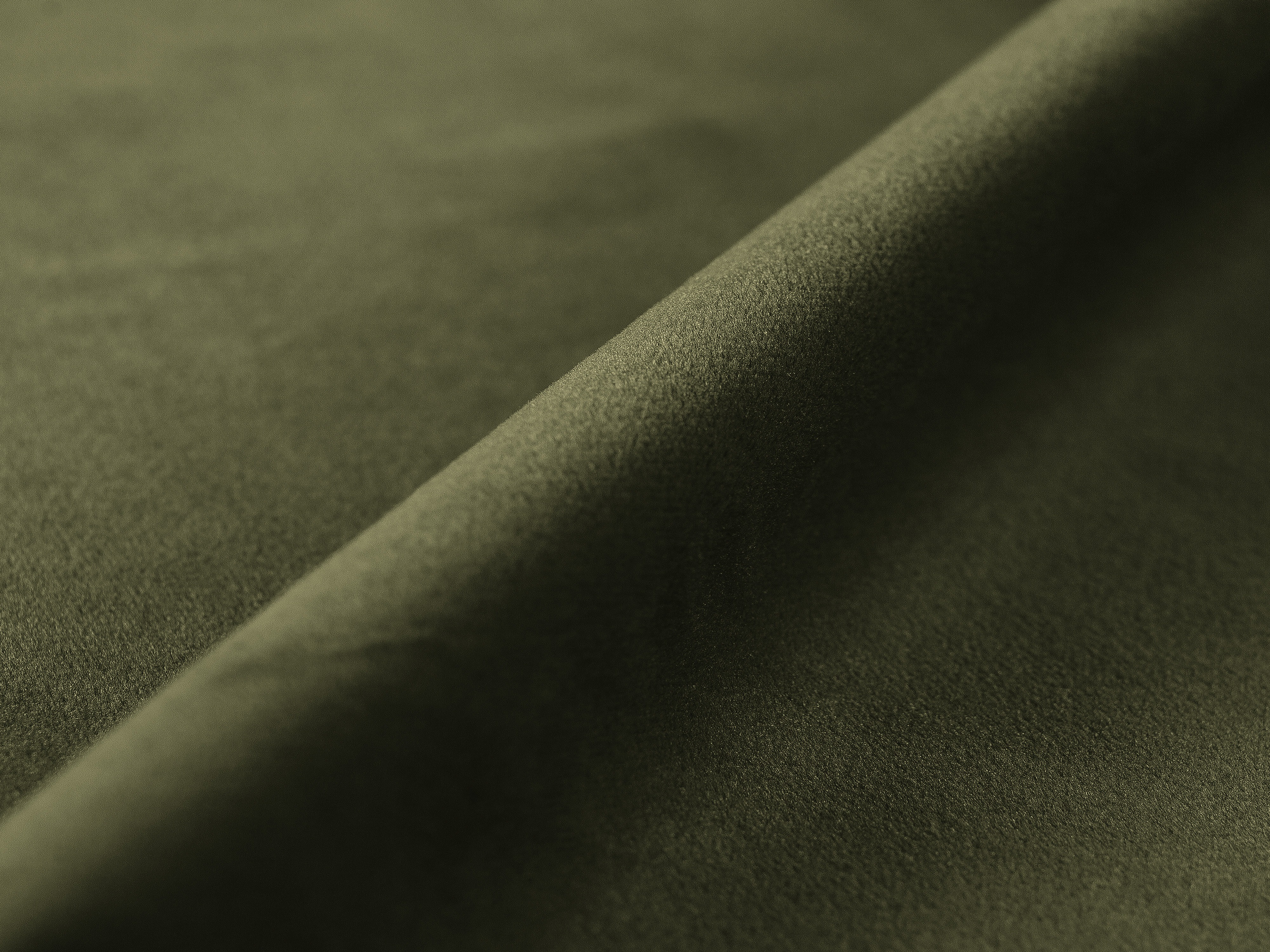 Dīvāns gulta Beckley 204 (Paris Forest)