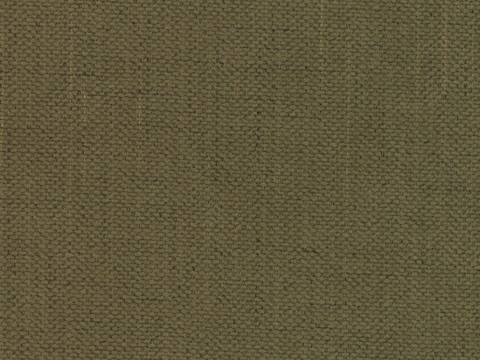 Gulta Beckley 205 (Moly 38)