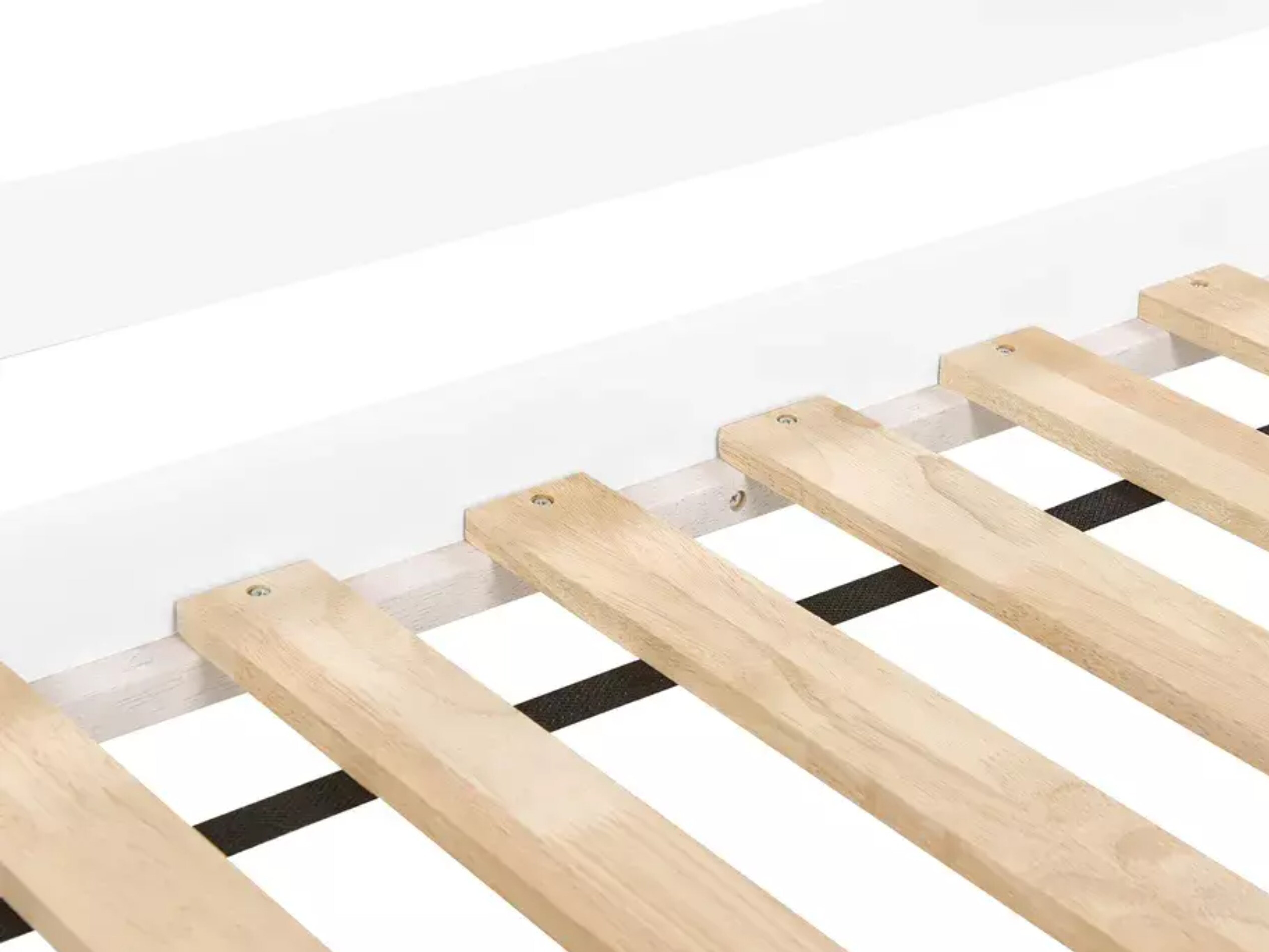 Augsta gulta Berwyn 2199 (Balts + Tumši rozā)