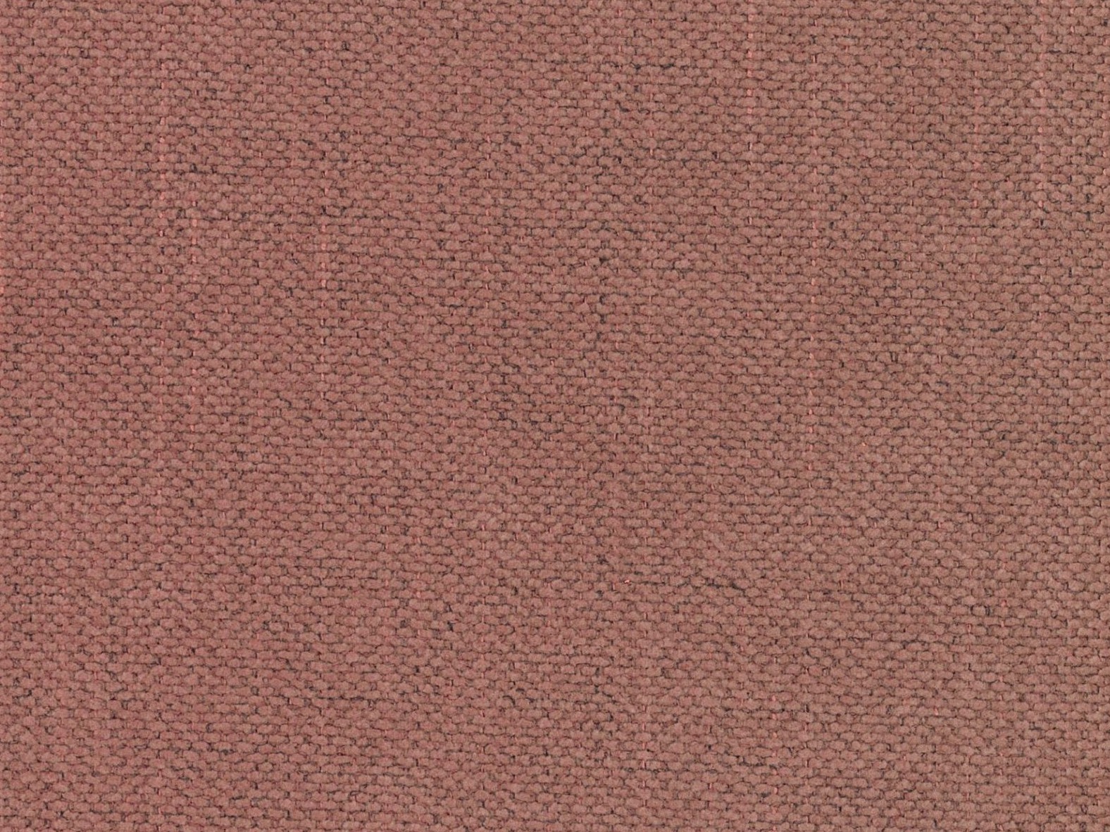 Gulta Beckley 346 (Moly 63)