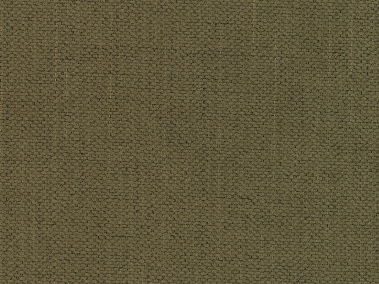 Gulta Beckley 347 (Moly 38)