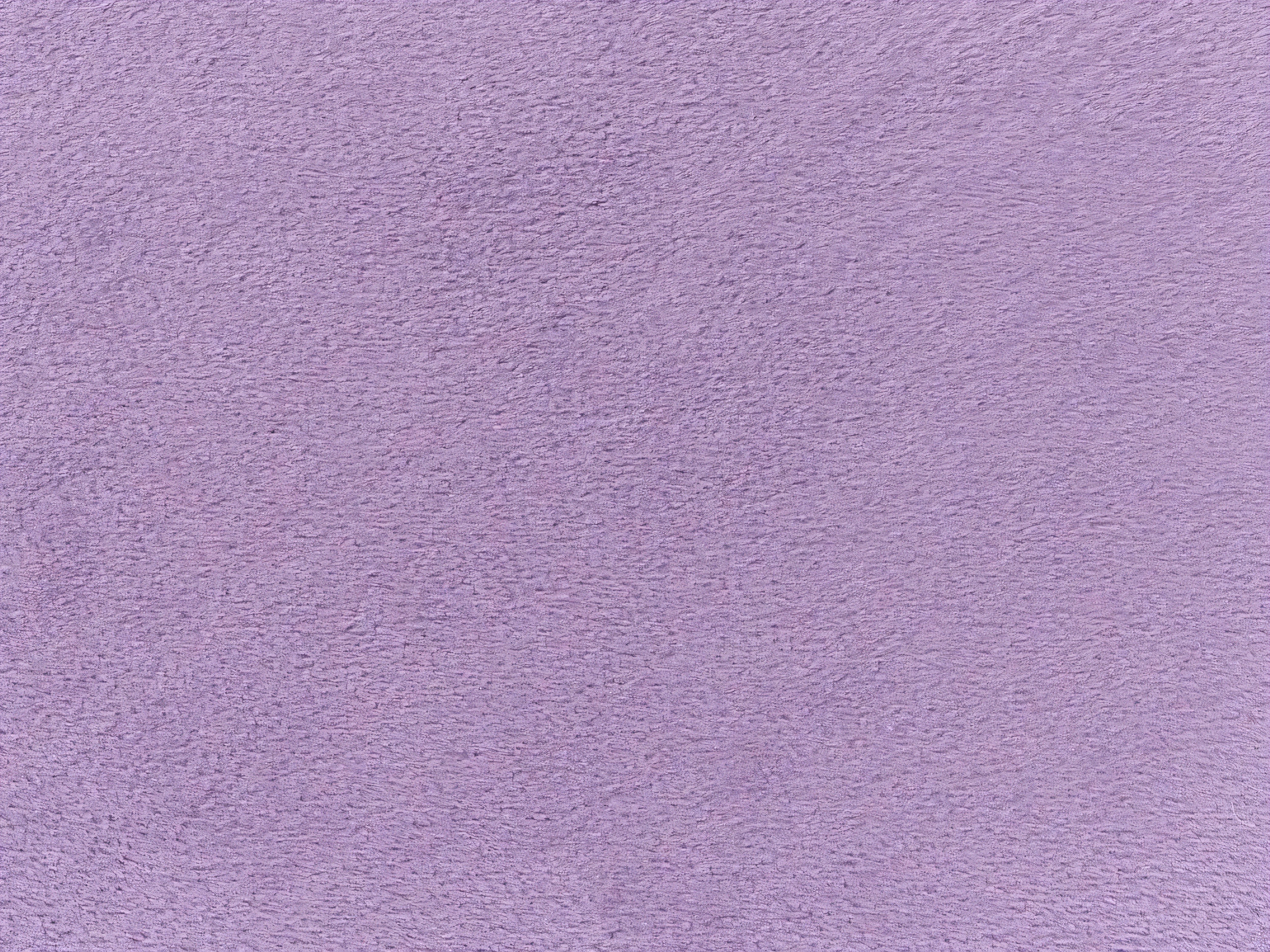 Gulta Berwyn 3314 (Violets)