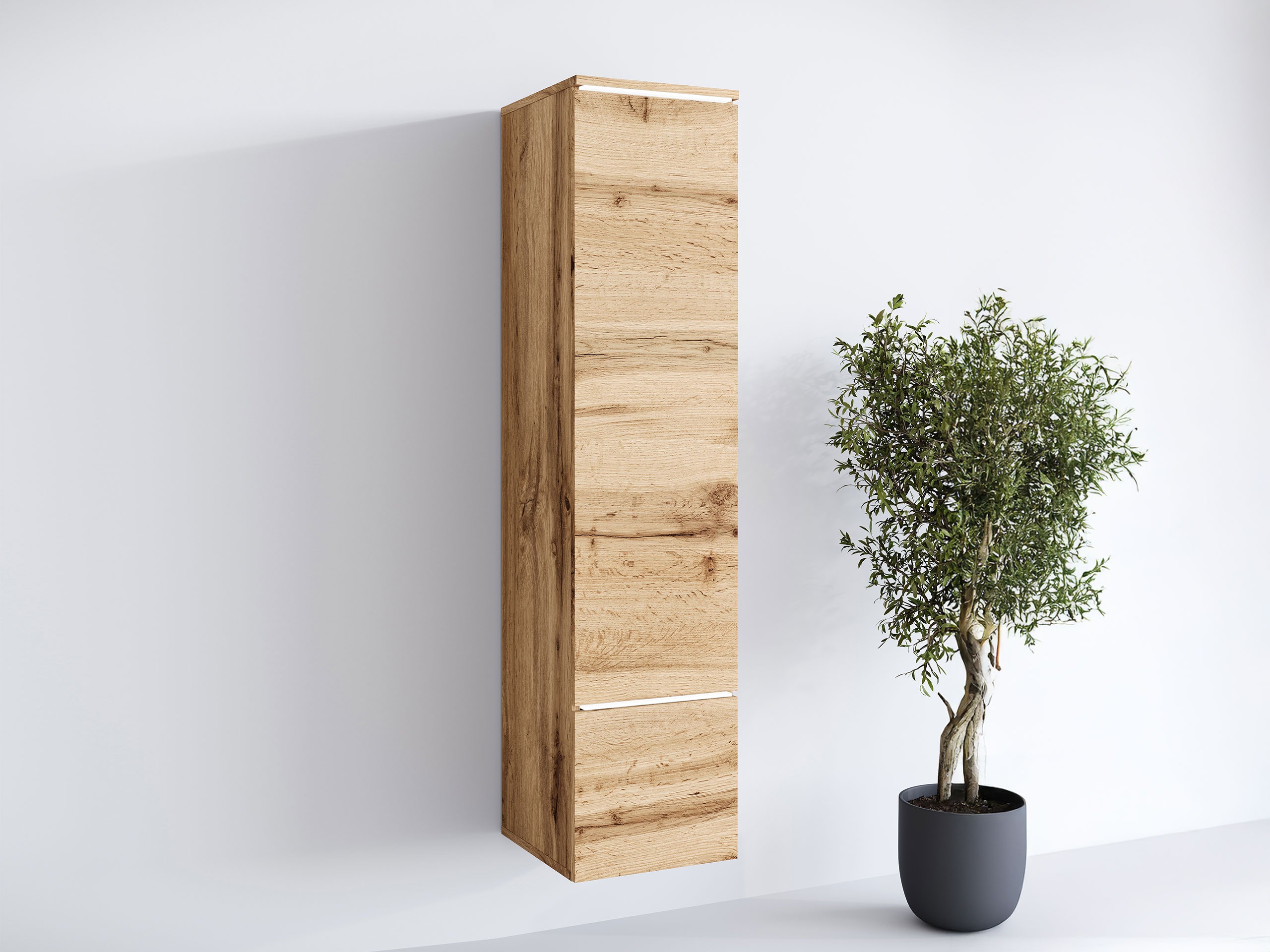 Plaukts Mirfivo 108 (Votan ozols)