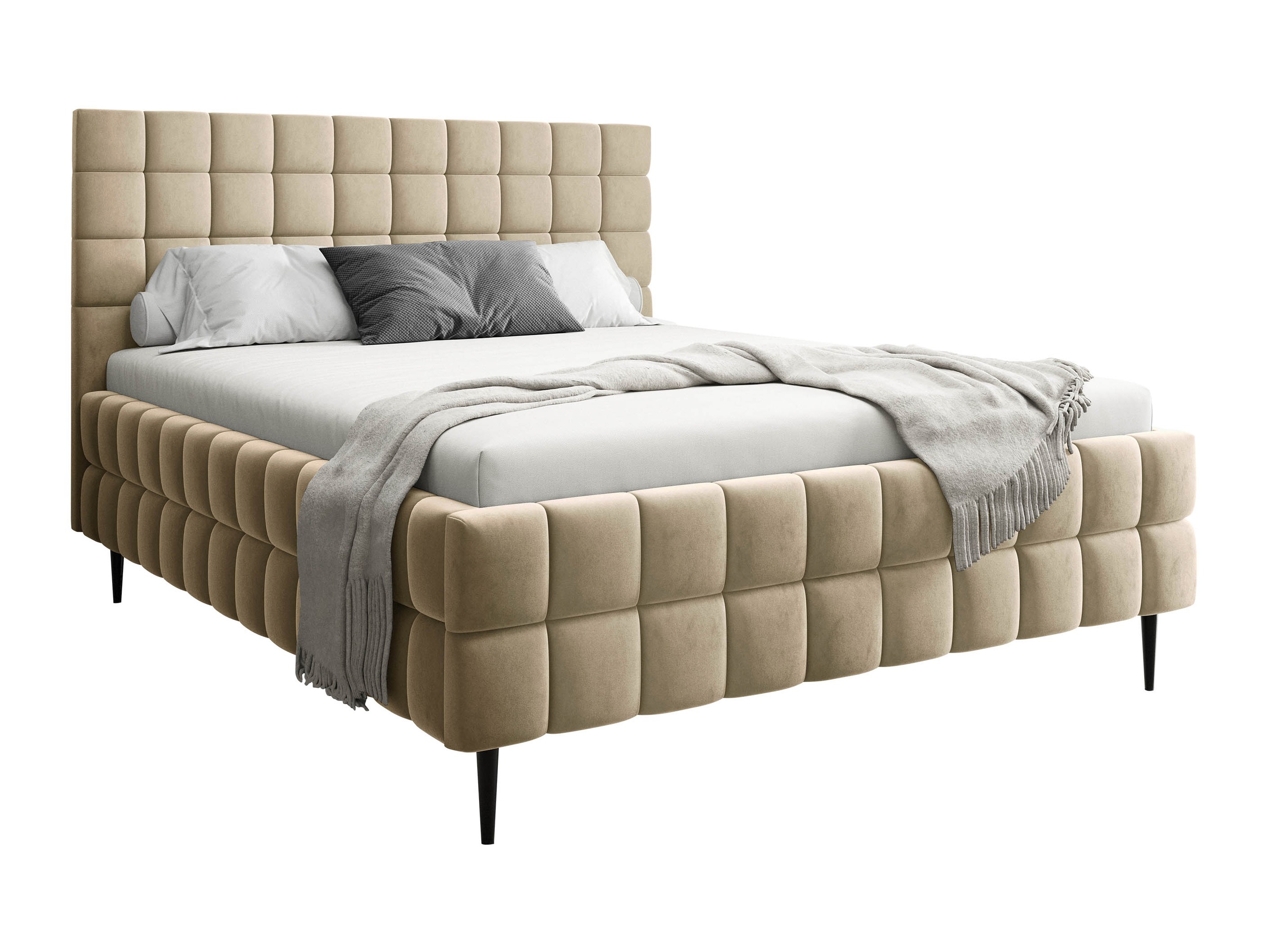 Gulta Baltimore 206 (Fresh 03)